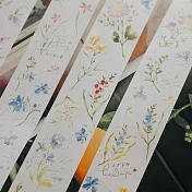 花型紙購物比價 21年6月 Findprice 價格網 花型紙購物比價 21年6月 Findprice 價格網