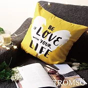 TROMSO風尚北歐抱枕-U243紐約愛生活