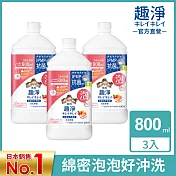 LION日本獅王 趣淨抗菌洗手慕斯補充瓶 果香 800mlx3