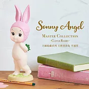 Sonny Angel 大師收藏系列 天使男孩兔  幸運草