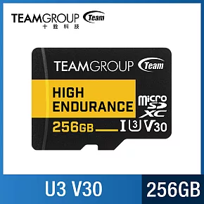 TEAM 十銓 High Endurance Micro SDXC UHS-I U3 V30 256GB 監控專用記憶卡