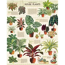 美國 Cavallini & Co. 1000片拼圖 室內植物