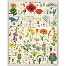 美國 Cavallini & Co. 1000片拼圖 滿滿野花