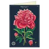 美國 Cavallini & Co. Greeting Cards 卡片/生日卡/萬用卡  一朵花卉