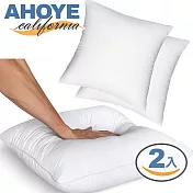 【Ahoye】200G厚磅純白抱枕芯 (30*30cm-2入組) 沙發靠枕 枕頭
