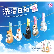 【日本正版授權】全套5款 曬動物的好天氣 扭蛋/轉蛋 曬太陽動物 曬動物 YELL 827572