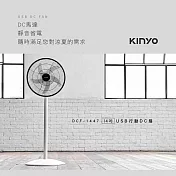 【KINYO】14吋USB行動DC直流|無線電風扇 DCF-1447