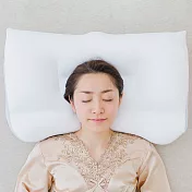 【日本王樣】極夢枕（附天絲 TENCEL 枕套） | 鈴木太太公司貨