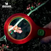 【德國Moses】小園丁系列-LED寬鏡面放大鏡