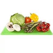 《TESCOMA》冰箱蔬果保鮮墊(綠) | 冰箱收納盒 蔬果收納盒 分層分格