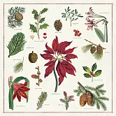 美國 Cavallini 純棉 方形餐巾 (單入裝)  松果與聖誕花卉
