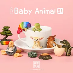 朝隈俊男─Baby Animal [6入/中盒]