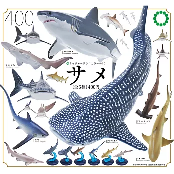 【日本正版授權】全套6款 NTC生物模型 鯊魚篇 扭蛋/轉蛋 大白鯊 鯨鯊 鯊魚模型 641315