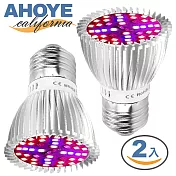 【Ahoye】28顆LED全光譜植物生長燈泡 (兩入組)