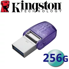 Kingston 金士頓 256GB DataTraveler Type─C USB3.2 隨身碟 DTDUO3CG3/256GB