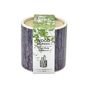 【聖新陶芸】Wood & Green 木紋陶瓷栽培組系列  橡木紋-仙人掌