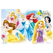 Disney Princess公主拼圖300片