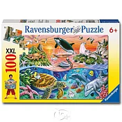 【德國Ravensburger拼圖】美麗海洋-大拼片拼圖-100XXL片