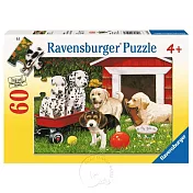 【德國Ravensburger拼圖】幼犬派對-60片