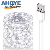 【Ahoye】防水LED裸燈珠燈串 白光10米100燈 (USB供電) 戶外燈條 燈飾