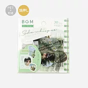【BGM】散裝和紙/PET混合貼紙包30入 ‧ 寫真-綠色