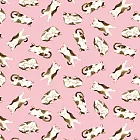 日本Pikka Pikka世界最細纖維毛孔潔淨布/限量聯名hopnbounce_貓咪