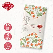 【日纖】日本泉州純棉長巾34x90cm- 鮮莓綠園