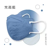 順易利-成人3D立體醫用口罩-多色可選(一盒30入) 梵高藍