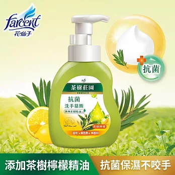 【茶樹莊園】抗菌洗手慕斯(500g/入) -茶樹檸檬