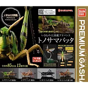 【日本正版授權】全套4款 生物大圖鑑 蝗蟲篇 扭蛋/轉蛋 昆蟲模型 982934