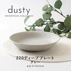 【Minoru陶器】Dusty透釉陶瓷深盤22cm ‧ 灰