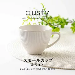 【Minoru陶器】Dusty透釉陶瓷馬克杯200ml ‧ 白