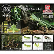 【日本正版授權】全套5款 螳螂 環保扭蛋 04 扭蛋/轉蛋 昆蟲模型/昆蟲之王 987373