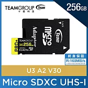 TEAM 十銓 PRO+ MicroSDXC 256GB UHS-I U3 A2 V30 記憶卡 (含轉卡+終身保固) 黑黃 黑黃