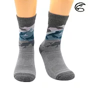 ADISI 美麗諾羊毛保暖襪 AS23060 (M-XL) / 城市綠洲(毛襪 羊毛襪 中筒襪 滑雪襪) M 山霞粉