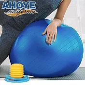【Ahoye】55cm防爆瑜珈抗力球 (健身球 瑜珈球 彈力球)