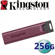 Kingston 金士頓 256GB 1000MB/s DataTraveler MAX Type-A USB3.2 Gen2 隨身碟 DTMAXA/256GB