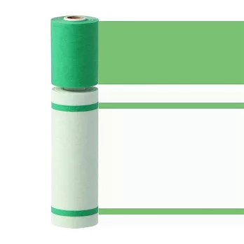 【Mark’s】水性筆可寫紙膠帶Slim二入組 ‧ 線條/綠