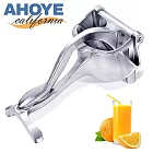 【Ahoye】重型手壓式榨汁器 (榨汁 榨汁器 果汁榨汁機 壓汁器 果汁榨汁器)
