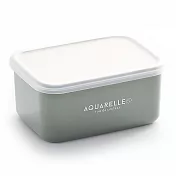 【SABU HIROMORI】日本製AQUARELLE微波抗菌保鮮盒 250ml 可微波 可洗碗機 森林綠