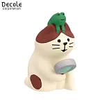 【DECOLE】concombre 梅雨季美麗Rainy Day  雨天的觀察貓