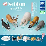 【日本正版授權】全套5款 動物伸懶腰公仔 P4 扭蛋/轉蛋 北極熊/狐狸 動物模型 079320