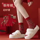 JDS.SOCKS 新年轉運鴻運旺棉襪 (3入組)