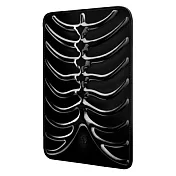 SwitchEasy RibCage iPad 骨狀造型保護套-黑色