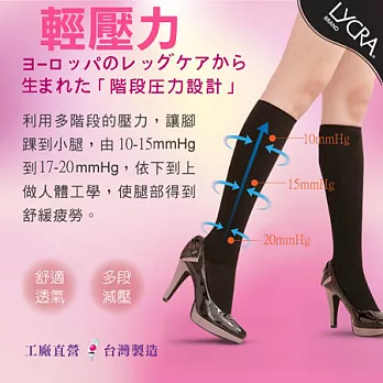 【sinacova】快適機能襪多功能健康護腿-6雙入                              L