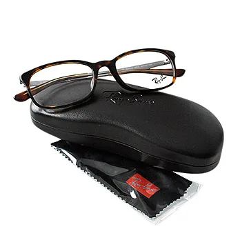 【Ray Ban 雷朋】雷朋光學眼鏡經典熱賣款/銀邊琥珀框(5313D-2012)銀邊琥珀框