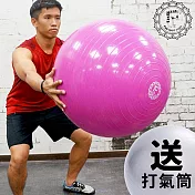Funsport 平面抗力球(65CM)台灣生產(桃紅色)+打氣筒