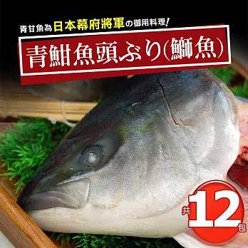 【優鮮配】日本極上の青魽魚頭12片組(350g~400g/片) 免運組