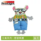 《美國 Petstages》733 古怪書呆鼠兩入組