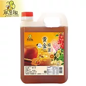 【尋蜜趣】嚴選黃金蜂蜜 1200g/桶(輕量超值包裝)